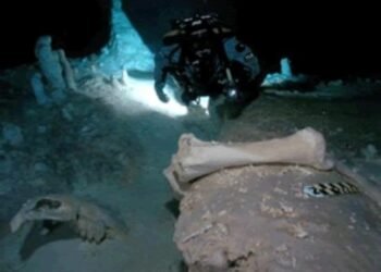 Piden endurecer reglas tras daños en cenote Hoyo Negro de Tulum