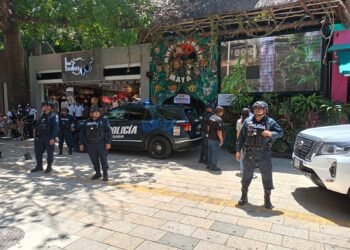 Catean tienda de animales exóticos en Playa del Carmen; detienen a 5, incluido exregidor