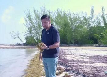 Exige diputado del PAN declarar emergencia por sargazo en Quintana Roo