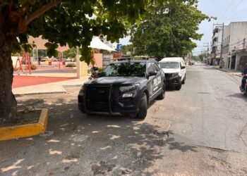 Halla a una persona sin vida en parque de Leona Vicario