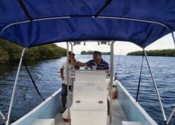 Regresan paseos en lancha en la Bahía de Chetumal para reactivar actividad en el sur