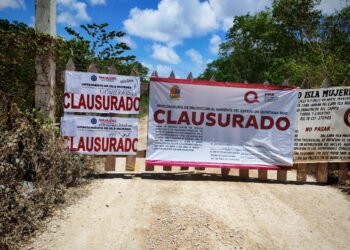 ZONA CONTINENTAL: Clausuran predios en Isla Mujeres por presuntas afectaciones ambientales