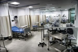 HANTAVIRUS: Descarta SESA casos en México y alerta por difusión de información falsa 3 HANTAVIRUS: Descarta SESA casos en México y alerta por difusión de información falsa