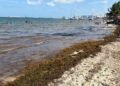 | CAMINOS DEL MAYAB | Puerto Juárez se queda sin playa
