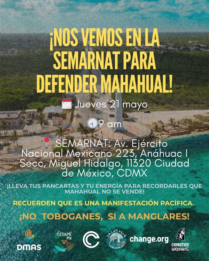 PERFECT DAY MAHAHUAL: Convocan Greenpeace y SelvameMX manifestación en CDMX 1 WhatsApp Image 2026 05 16 at 12.08.46 PM 1