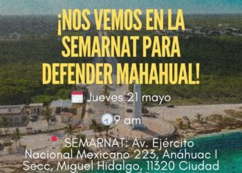 PERFECT DAY MAHAHUAL: Convocan Greenpeace y SelvameMX manifestación en CDMX