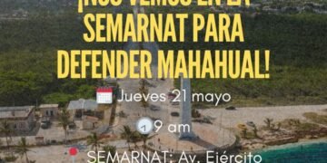 PERFECT DAY MAHAHUAL: Convocan Greenpeace y SelvameMX manifestación en CDMX