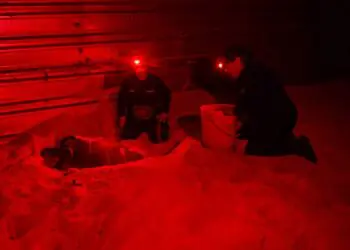 ANIDACIÓN 2026: Vigilan 12 kilómetros de playas y 52 corrales para proteger tortugas en Cancún