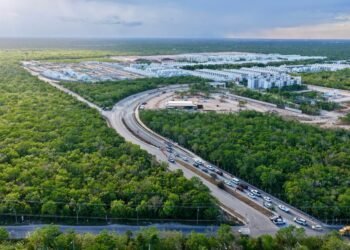 CRECIMIENTO URBANO: Aumentan reportes de fauna silvestre