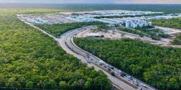 CRECIMIENTO URBANO: Aumentan reportes de fauna silvestre