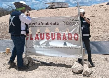 DAÑOS AMBIENTALES: Advierte Profepa sanciones más severas en QR