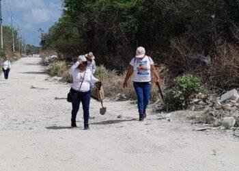 | CAMINOS DEL MAYAB | Egolatría y Madres Buscadoras en Quintana Roo
