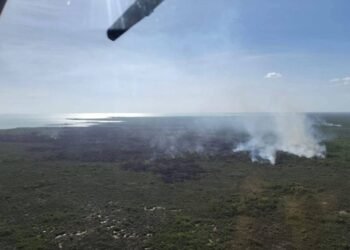 Logran sofocar incendio forestal en el Santuario del Manatí de Chetumal 2 Logran sofocar incendio forestal en el Santuario del Manatí de Chetumal