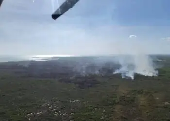 Logran sofocar incendio forestal en el Santuario del Manatí de Chetumal