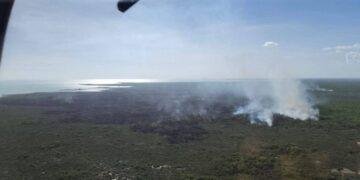 Logran sofocar incendio forestal en el Santuario del Manatí de Chetumal