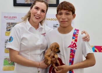 BIENESTAR ANIMAL: Acumula Isla Mujeres más de 500 esterilizaciones en un año