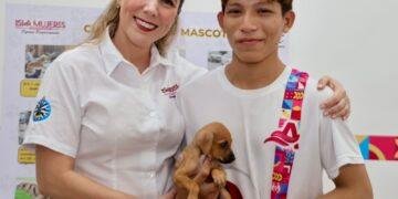 BIENESTAR ANIMAL: Acumula Isla Mujeres más de 500 esterilizaciones en un año