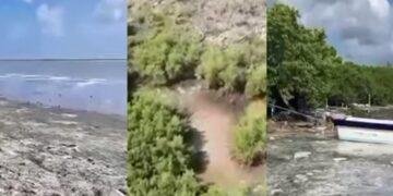 CRISIS AMBIENTAL: Denuncia Selvame descargas contaminantes en manglares del norte de Cozumel