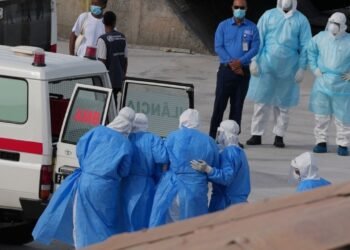 Hantavirus Andes: Despliegue Global Contiene Amenaza Viral Post-Crucero
