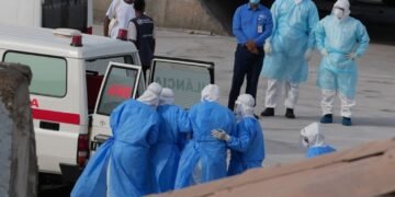 Hantavirus Andes: Despliegue Global Contiene Amenaza Viral Post-Crucero