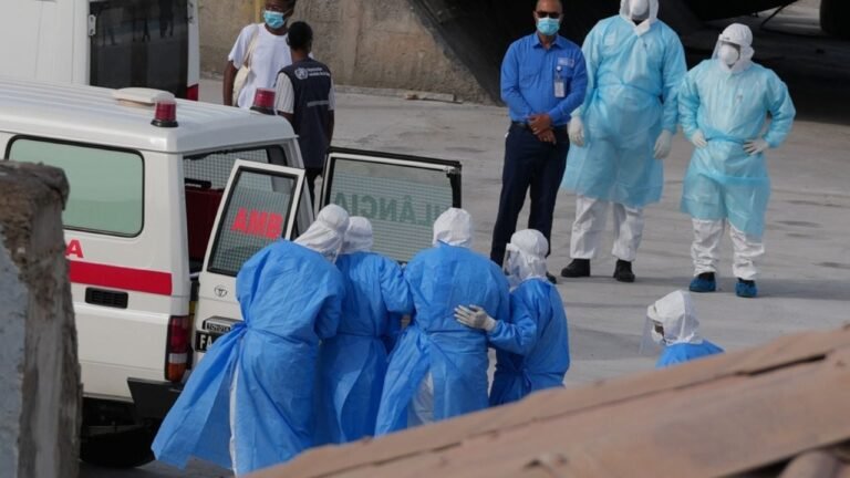 Hantavirus Andes: Despliegue Global Contiene Amenaza Viral Post-Crucero