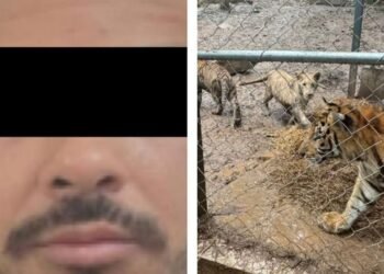 Desmantelan red criminal masiva: José Antonio “N”, 7 tigres y buques ilícitos asegurados