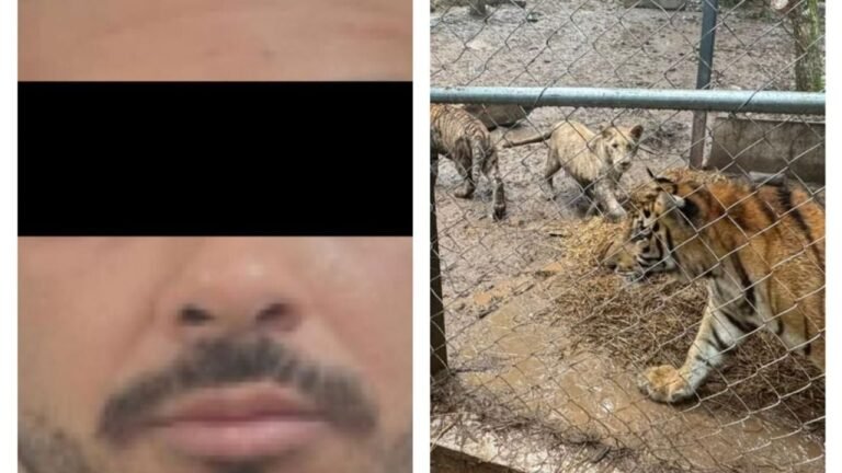 Desmantelan red criminal masiva: José Antonio “N”, 7 tigres y buques ilícitos asegurados