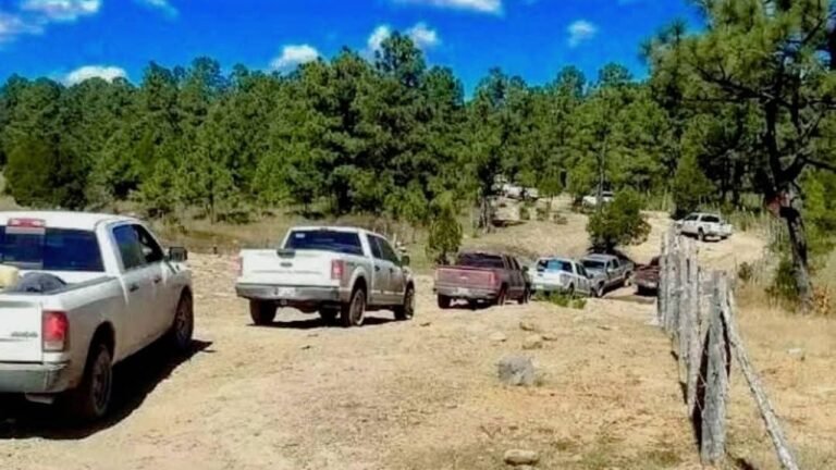 Éxodo forzado en Durango: cuando la violencia vacía comunidades serranas