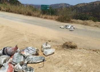 Escalada violenta en Guerrero: Diez cuerpos hallados desatan alerta regional