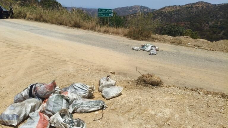 Escalada violenta en Guerrero: Diez cuerpos hallados desatan alerta regional