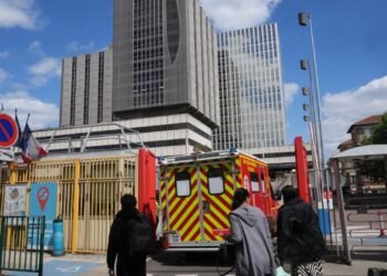 Hantavirus: estado crítico de paciente francesa escala alerta global