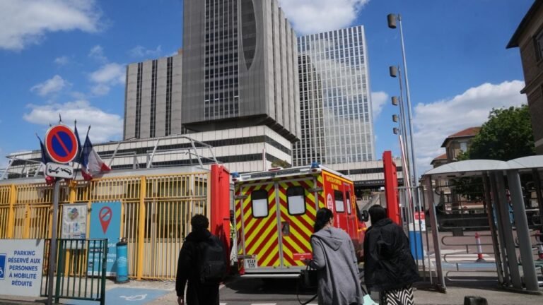 Hantavirus: estado crítico de paciente francesa escala alerta global