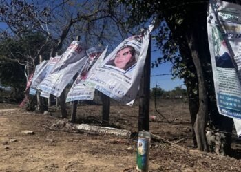 Sinaloa bajo tierra: la crisis de fosas contradice datos oficiales