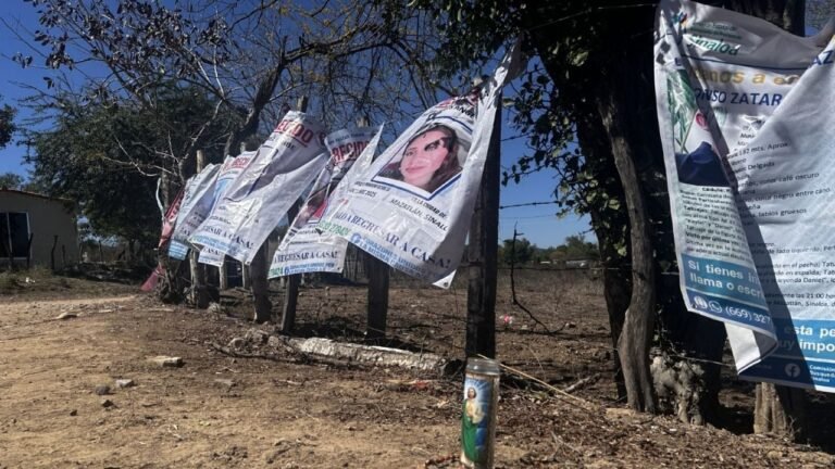 Sinaloa bajo tierra: la crisis de fosas contradice datos oficiales