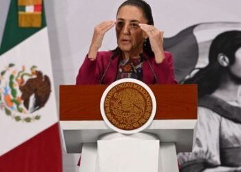 Sheinbaum delimita vínculo entre dichos de Rocha y crimen organizado 6 Sheinbaum delimita vínculo entre dichos de Rocha y crimen organizado