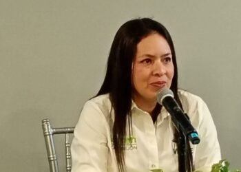 PVEM endurece filtro electoral: no avalará candidatos bajo investigación 2 PVEM endurece filtro electoral: no avalará candidatos bajo investigación