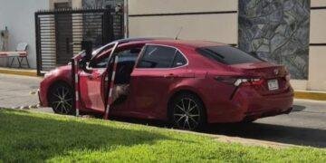 Violencia extrema: tres feminicidios conmocionan Sinaloa en un día