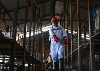 Incendios en Congo: ataques a centros de ébola disparan fuga de pacientes