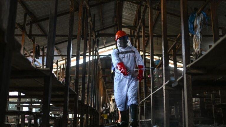 Incendios en Congo: ataques a centros de ébola disparan fuga de pacientes