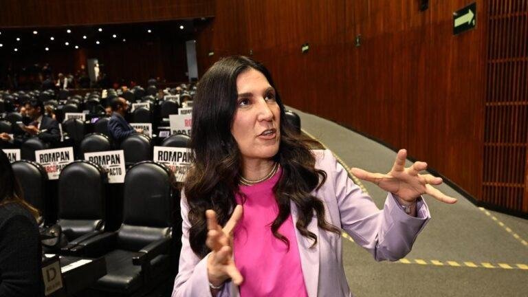 Resistencia: López Rabadán confronta violencia política en diputados