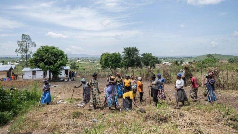 Estrategias de la OMS contra ébola en Congo frente a un brote complejo