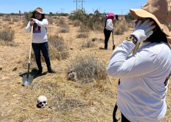 Documentan 22 asesinatos de madres buscadoras en México en los últimos 15 años