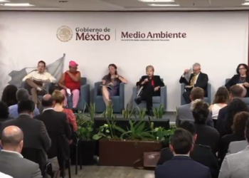 PERFECT DAY: Descarta Semarnat autorización a proyecto de Royal Caribbean en Mahahual (VIDEO)