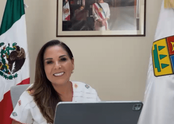 Registra Quintana Roo solicitud para proteger al tiburón toro