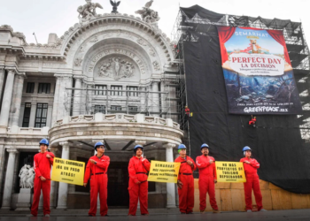 BELLAS ARTES: Protesta Greenpeace contra megaproyecto “Perfect Day” en Mahahual