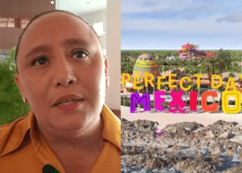 PERFECT DAY: Admite Cristina Torres falta de socialización integral del megaproyecto