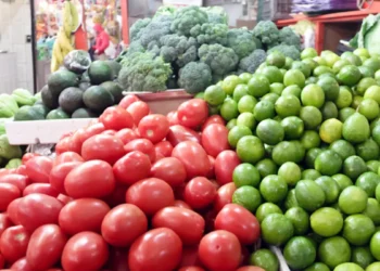 PRECIOS DE ALIMENTOS: Reconoce Sheinbaum que persisten alzas en jitomate, papa y chile