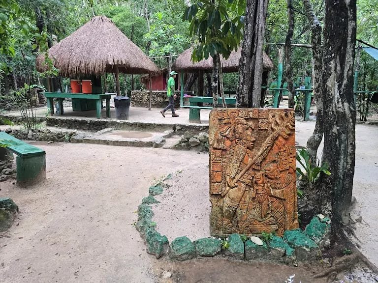 MALTRATO ANIMAL: Denuncian caballos lesionados en parque turístico de Tulum 5 WhatsApp Image 2026 06 02 at 9.26.01 AM