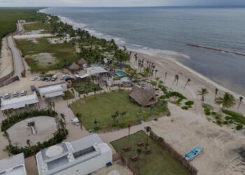 DAÑO AMBIENTAL: Denuncian ambientalistas destrucción de manglar en Mahahual