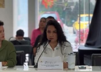 SEGURIDAD VIAL: Proponen diagnóstico de avenidas y cruceros de riesgo en PDC (VIDEO)
